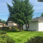 lawn care work