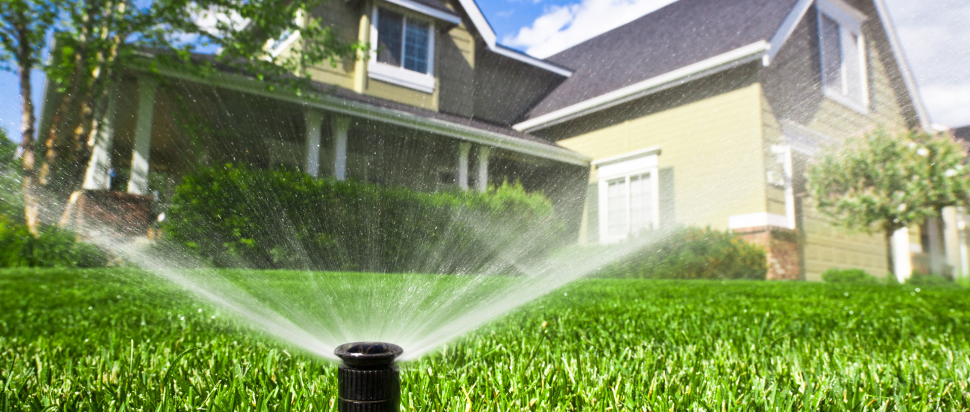 Watering system